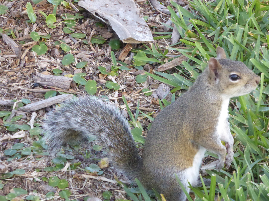 Riviera Park-奥蒙德海滩必去景点