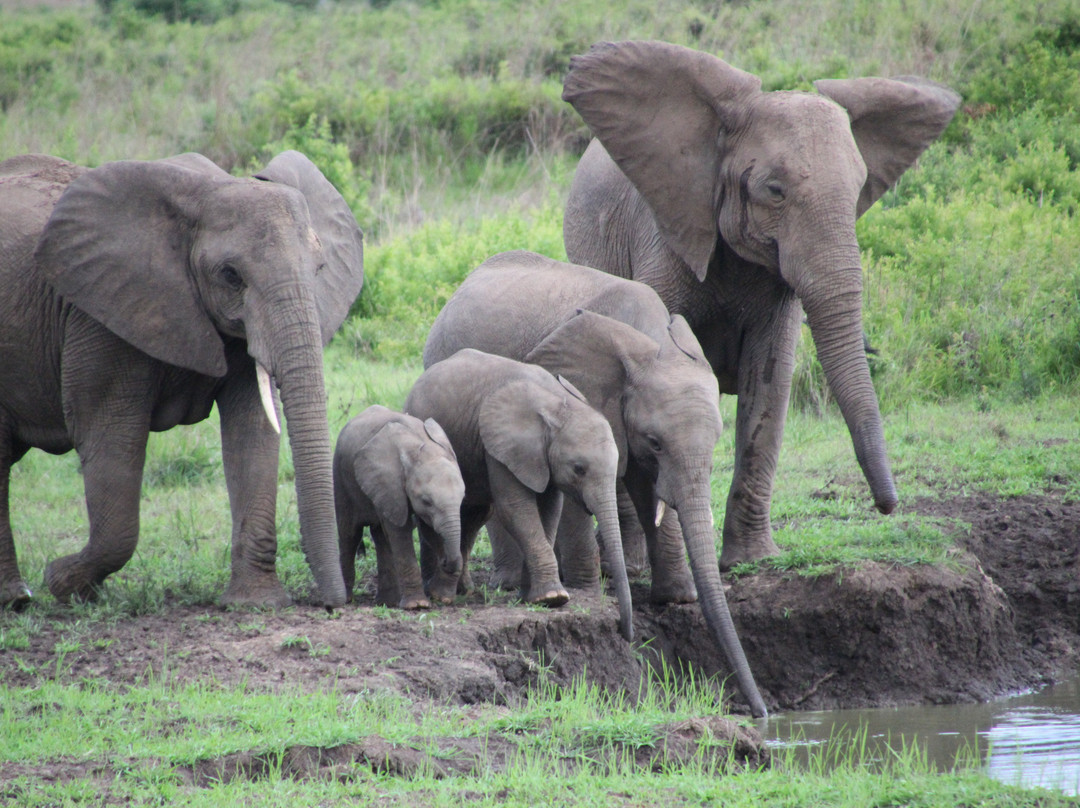 Safaris Partners-莫洛哥罗必去景点