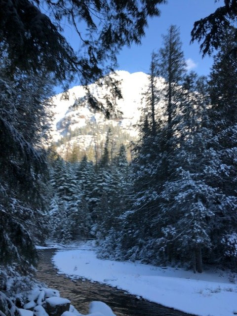 Trail of the Cedars-冰河国家公园必去景点