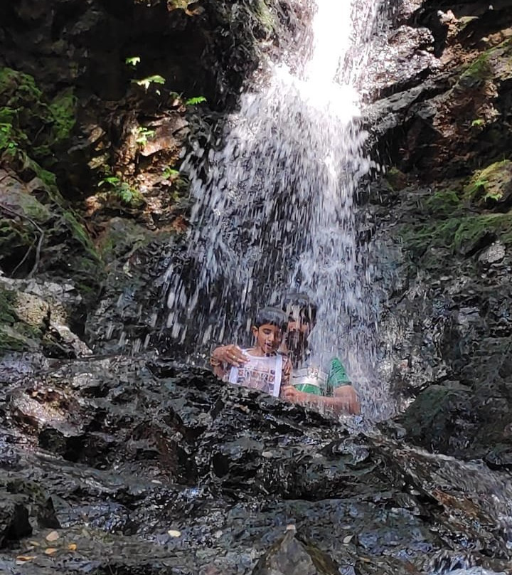 Adyar Waterfalls景点图片