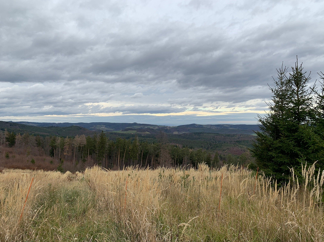 Naturpark Landseer Berge-Oberpullendorf必去景点