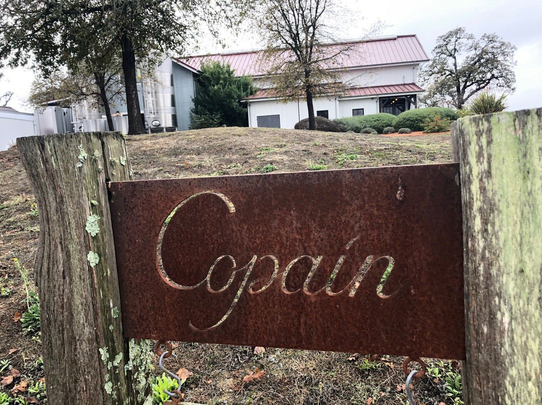 Copain Wines景点图片