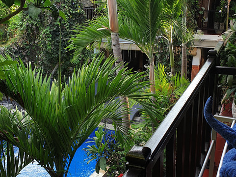 巴厘岛热带酒店主图