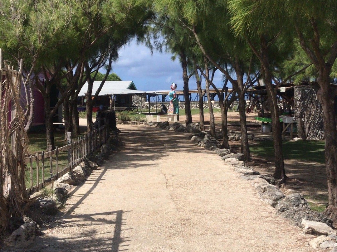 Hang Ten Adventures-布里奇顿必去景点