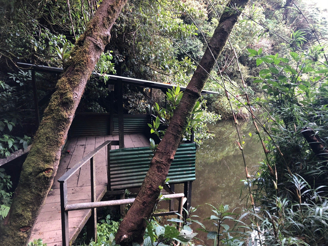 Parque Nacional Braulio Carrillo景点图片
