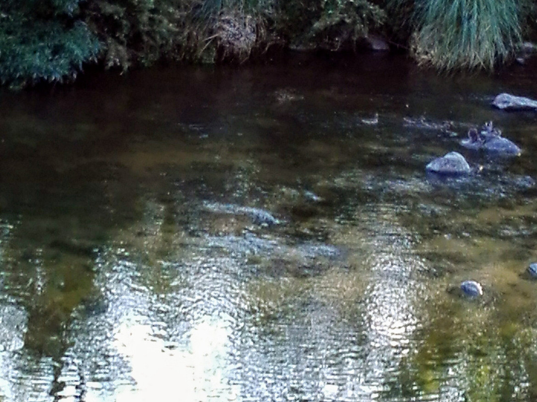 Juntura de los Rios-Cosquin必去景点