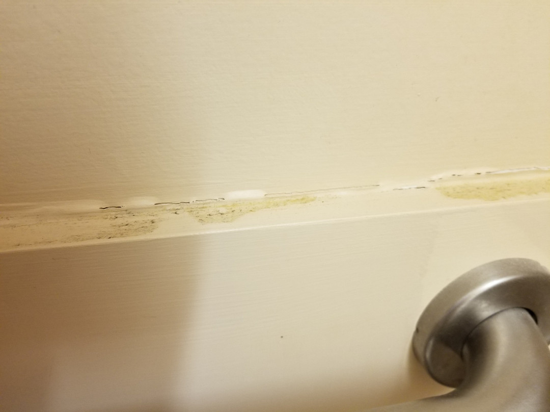 Microtel Inn & Suites By Wyndham Quincy Downtown/river Area主图