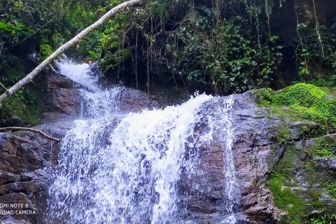 Recanto Nascentes Divinas-Joinville必去景点