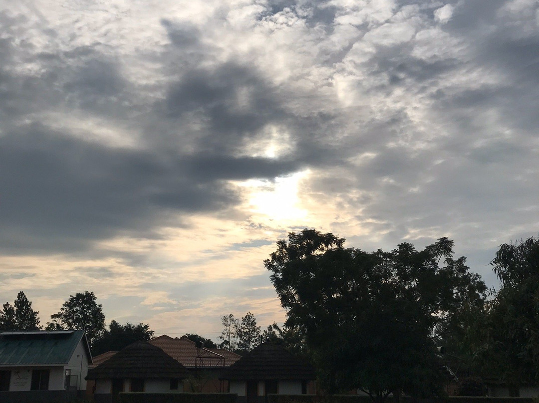 Palm Garden Gulu - Restaurant and Guest House主图