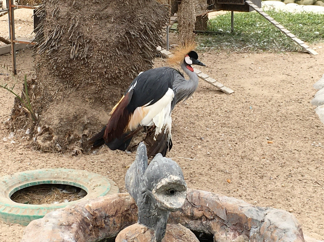 Al Areen Wildlife Park & Reserve-Zallaq必去景点