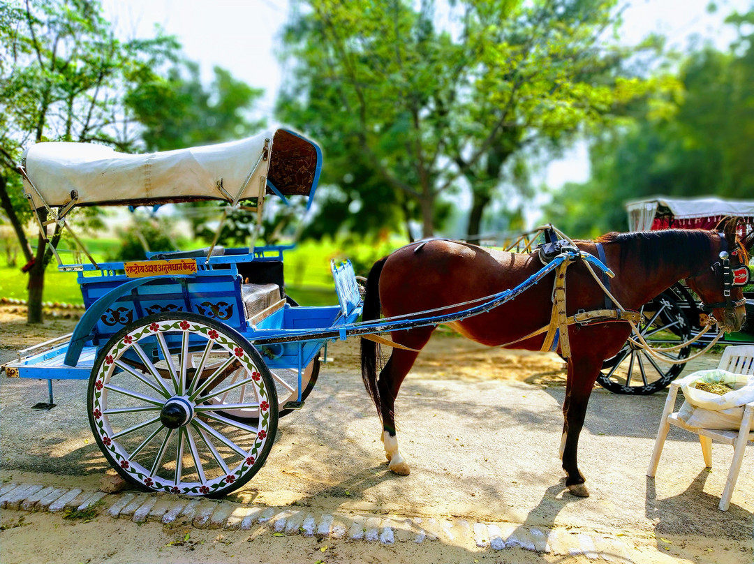 National Research Centre on Equines, Bikaner Campus景点图片