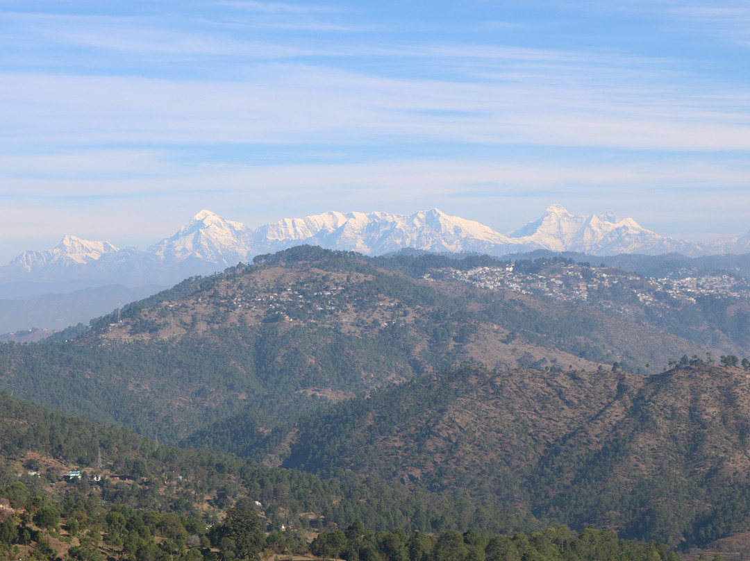 The Orchard at Peora Estates主图