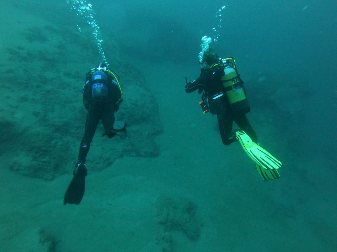 Techno Diving Lanzarote-卡门港必去景点