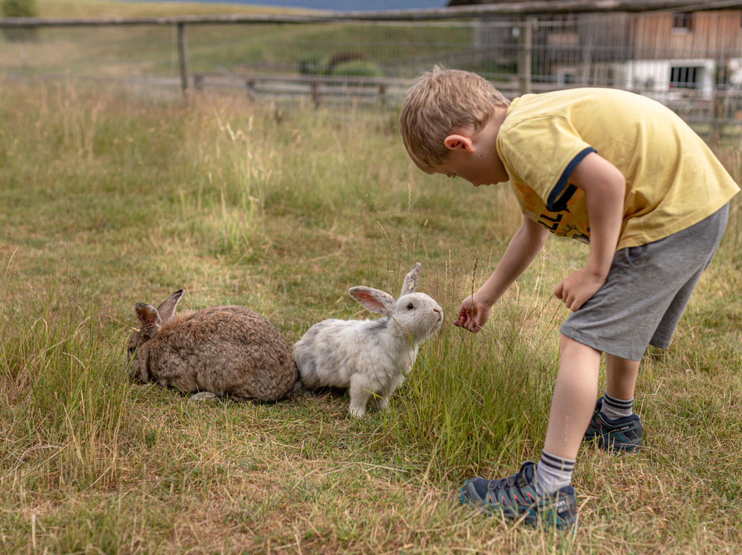 Moesslacherhof主图