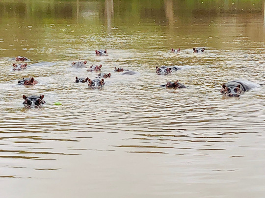 Paul Safaris-蒙巴萨必去景点