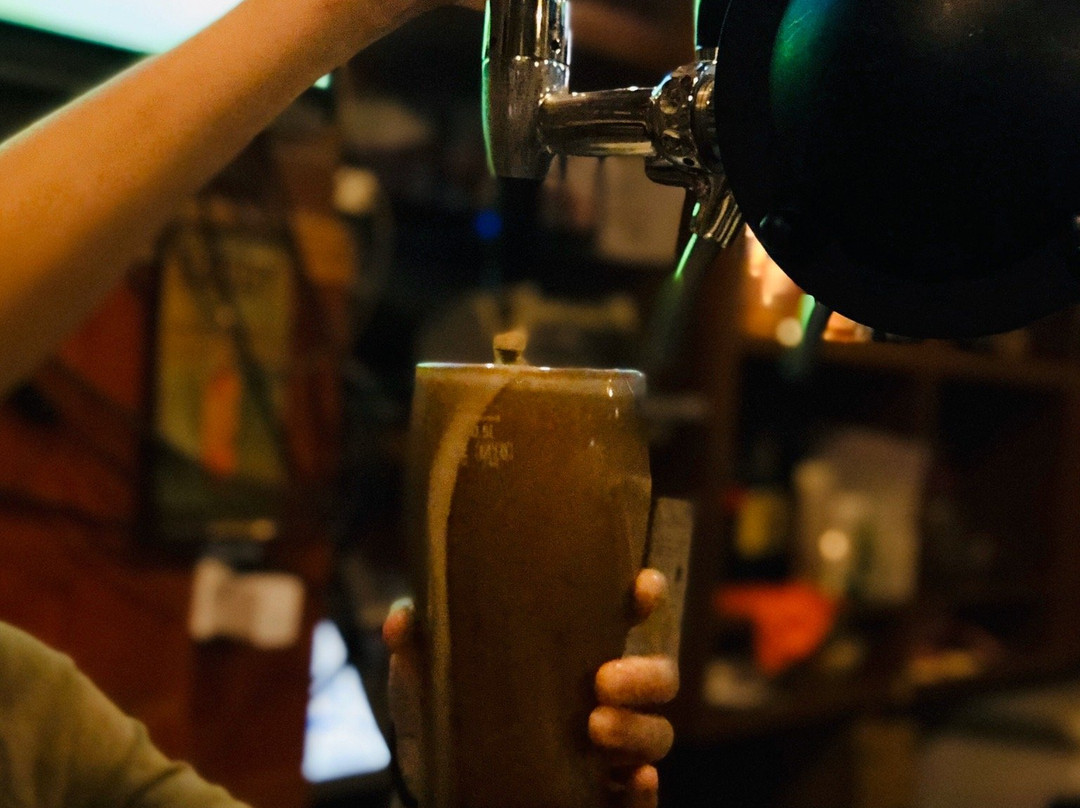 The Tipsy Fiddler爱尔兰酒吧-上海市必去景点