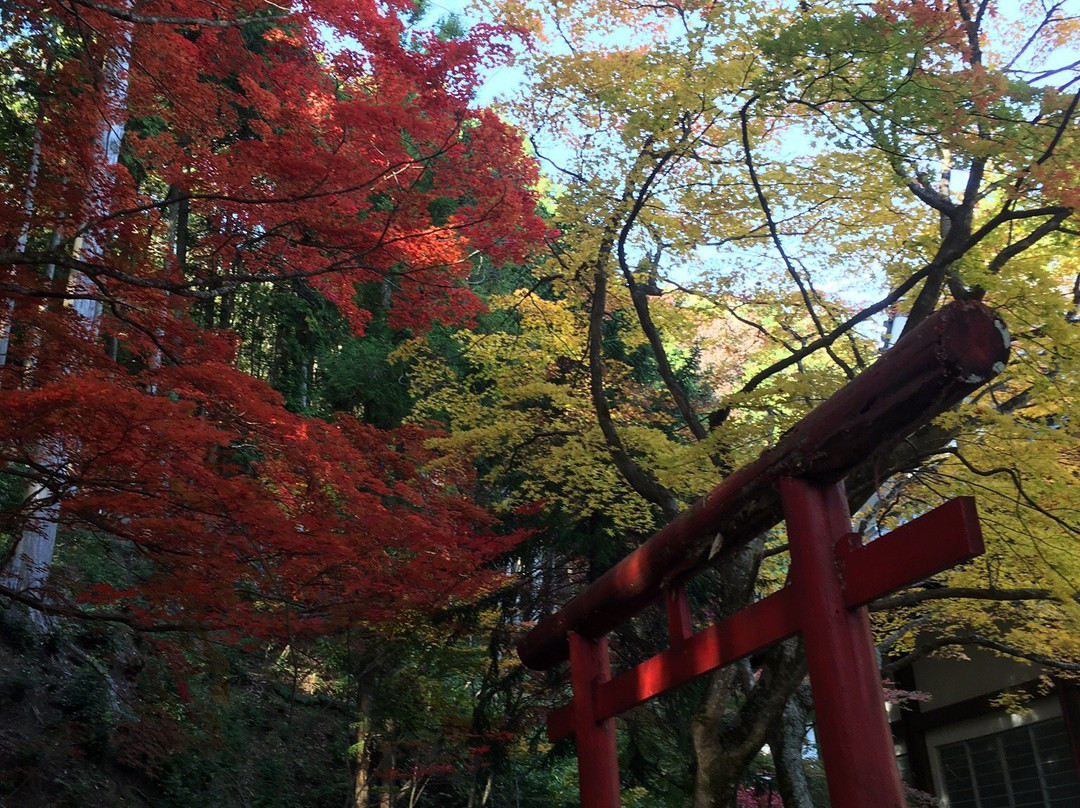 Dokoji Temple-丹波篠山必去景点