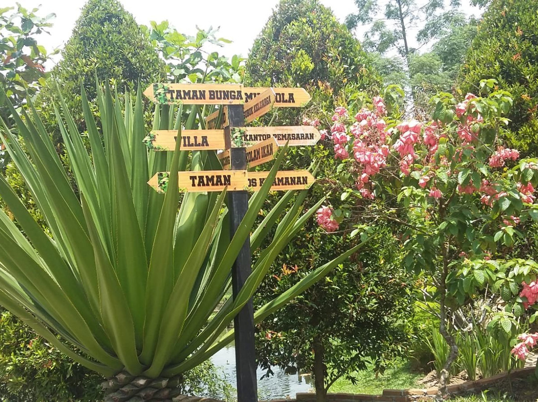 The Le Hu Garden-棉兰必去景点