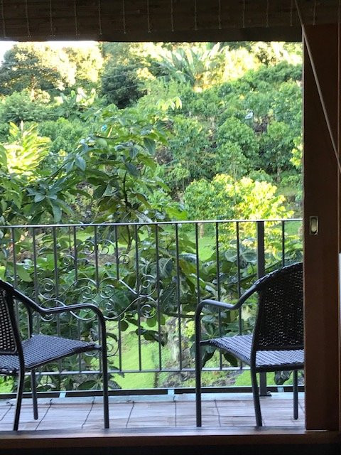 霍卢阿洛阿旅馆主图