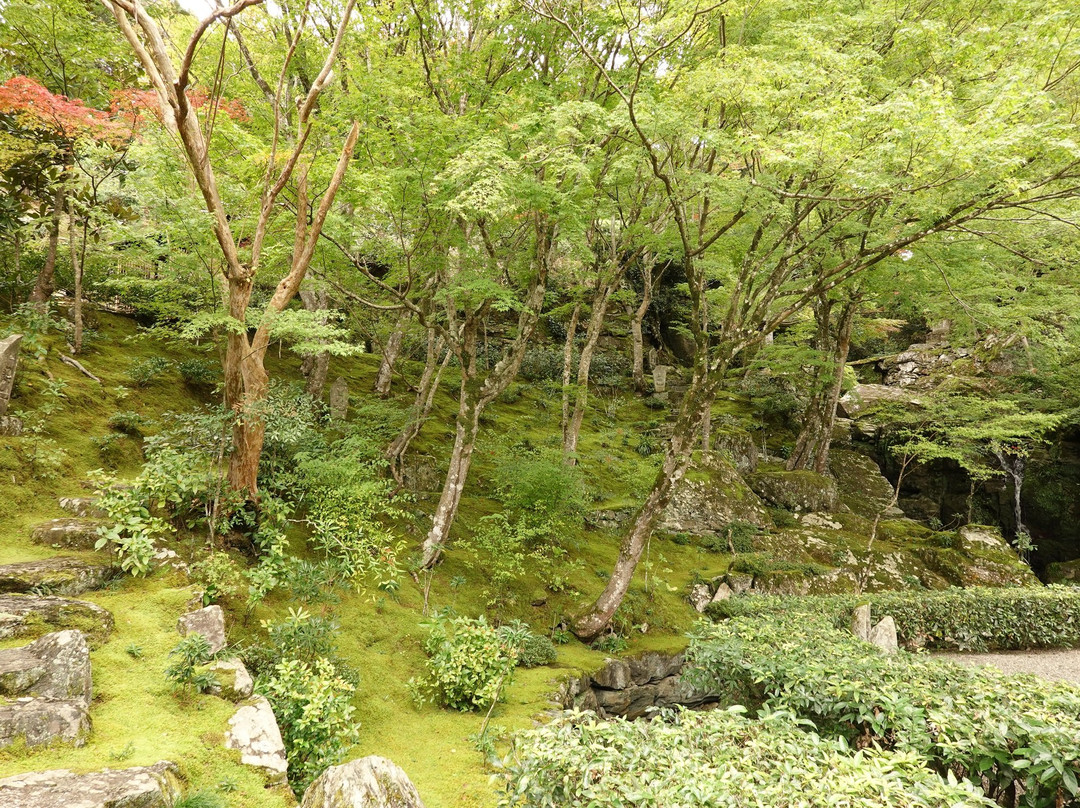 Honrakuji Temple-美马市必去景点