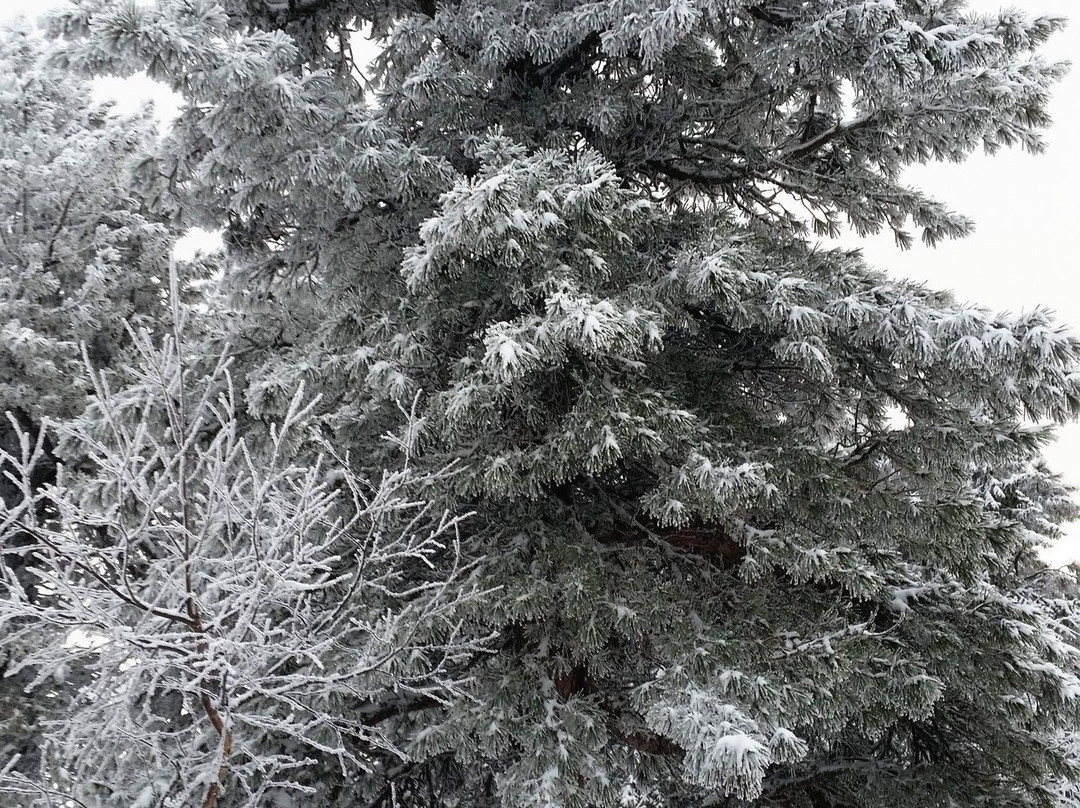 Kachkanar Mountain-Kachkanar必去景点