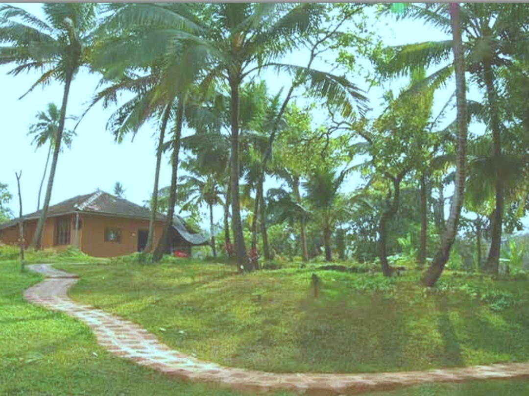 The Happiness Estate主图