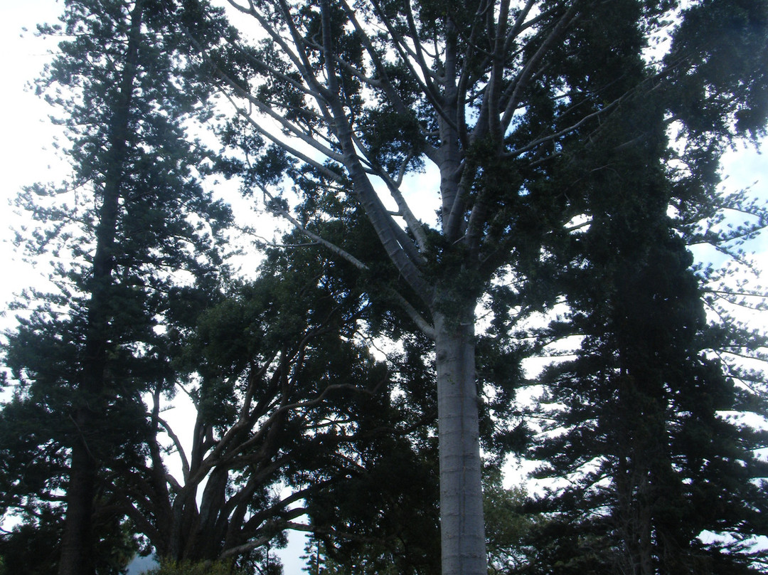 Makena State Park-维雷亚必去景点