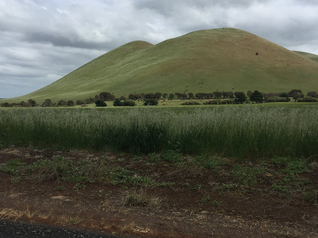 Mt. Elephant-Derrinallum必去景点