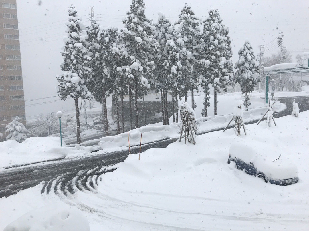 Ishiuchi Yung Parunas Day-use spa-南鱼沼市必去景点