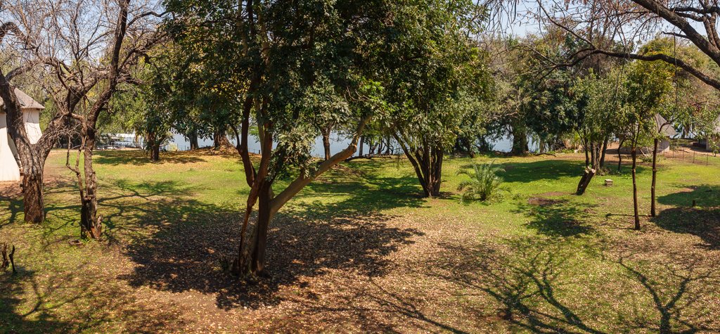 Chobe Safari Lodge-酒店景观