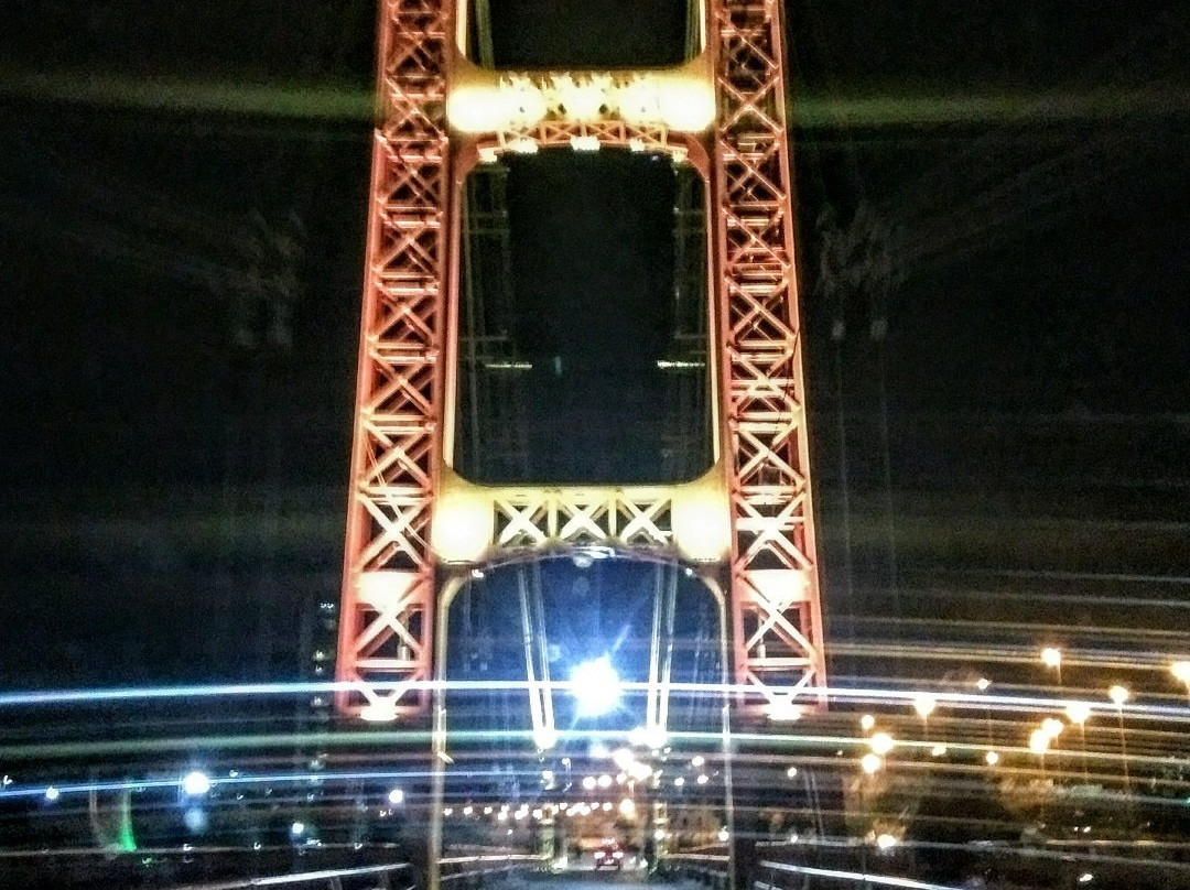 Puente Colgante Ing. Marcial Candioti景点图片
