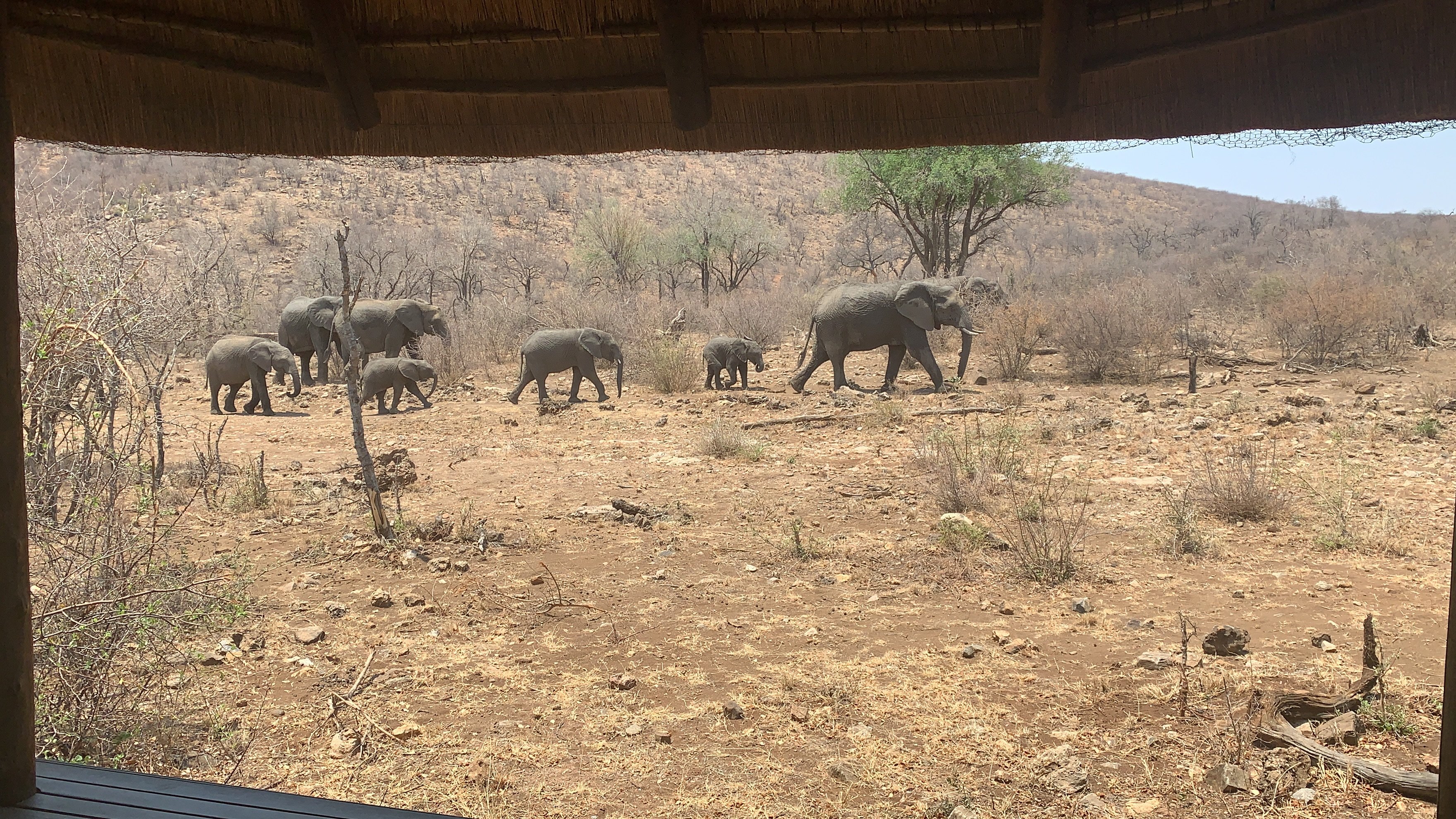 因博迪莫游戏小屋-酒店景观