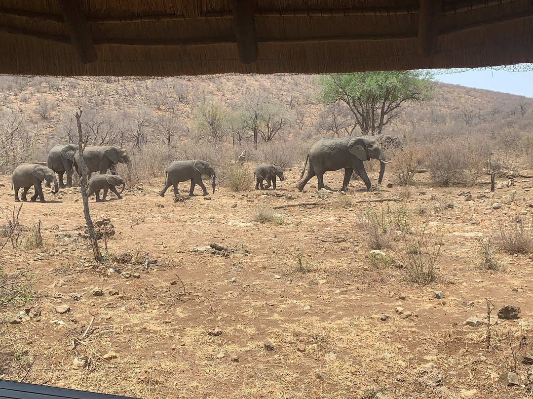 因博迪莫游戏小屋主图