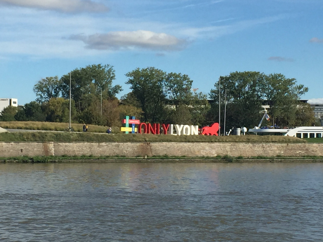 Lyon by Boat景点图片