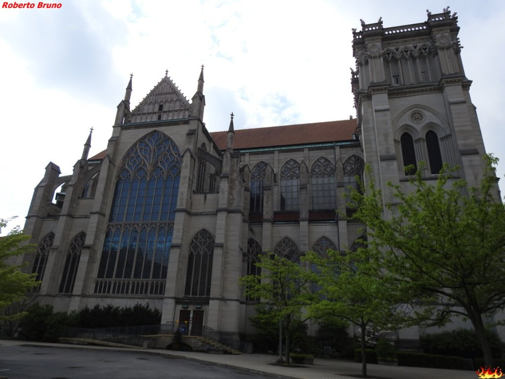 St Mary's Cathedral Basilica of the Assumption-卡温顿必去景点
