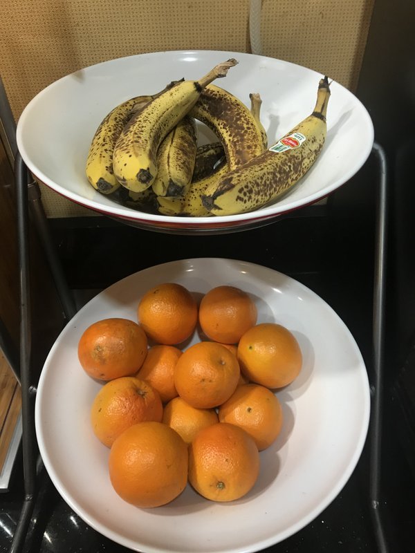 Fairfield by Marriott Inn & Suites Tampa North-餐饮