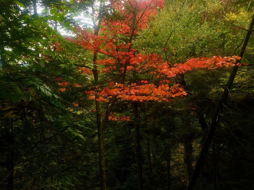 Loon Mountain Resort-林肯必去景点