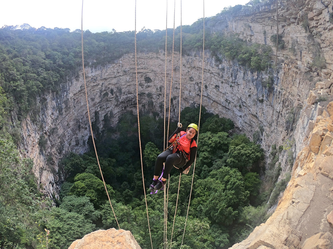 Jungla Experience-Villahermosa必去景点