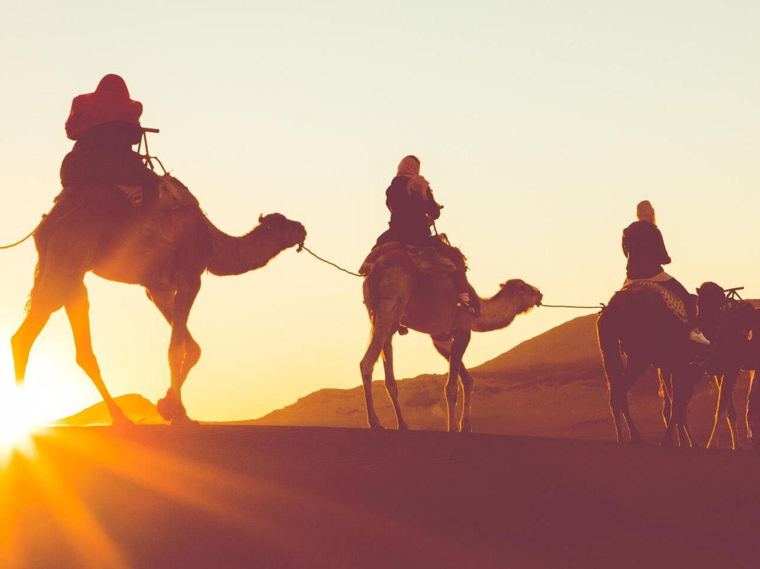 Wadi Rum Bedouin Campsite & Tours-Wadi Rum Village必去景点