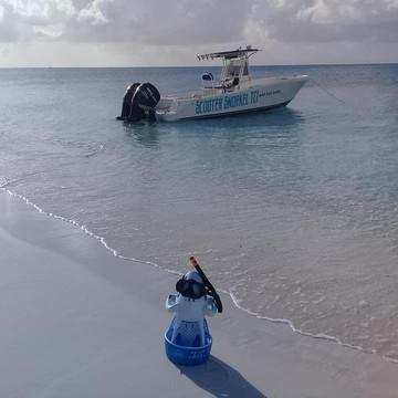 Scooter Snorkel TCI