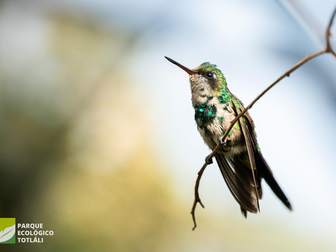 Totláli-Malinalco必去景点