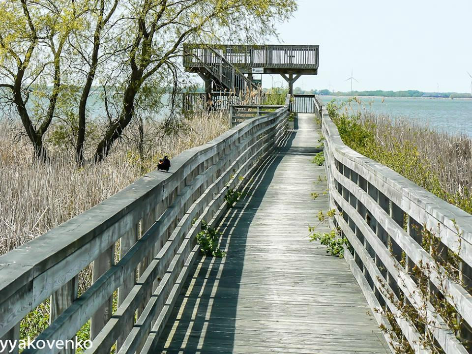 Rondeau Provincial Park景点图片