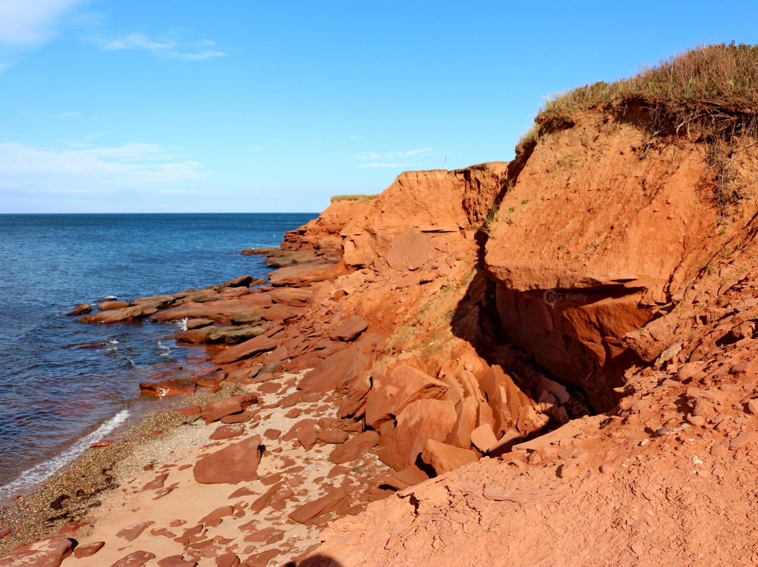 Cavendish Beach-卡文迪西必去景点