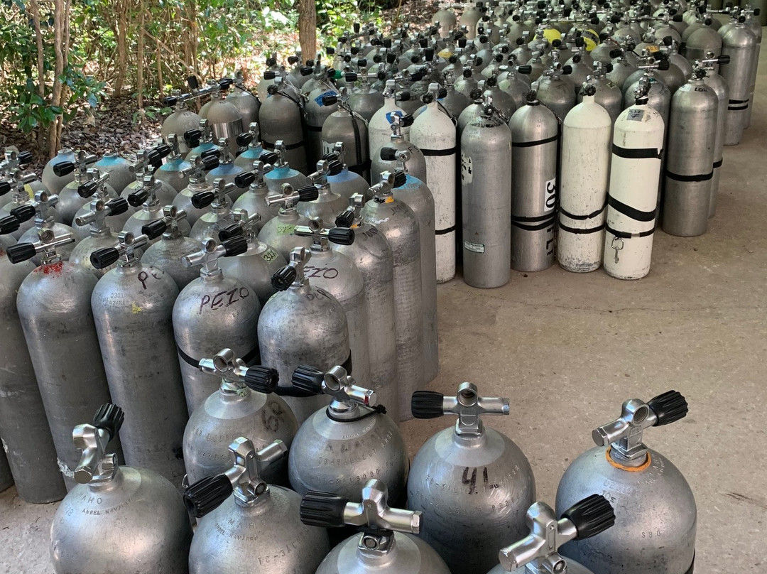 Under the Jungle-Xpu-Ha必去景点