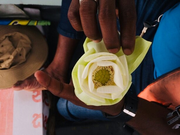 蒂瑟默哈拉默湖-蒂瑟默哈拉默必去景点