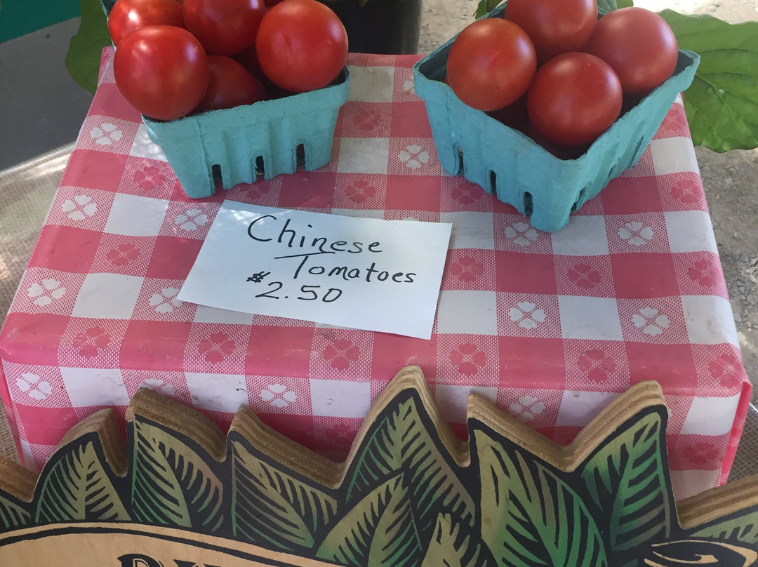 Leaburg旅游景点-Laurelwood Academy Farms