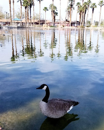 罗伦兹公园-拉斯维加斯必去景点