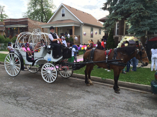 Chicago Horse and Carriage