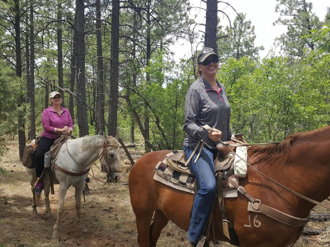 Porter Mountain Stables-Pinetop-Lakeside必去景点