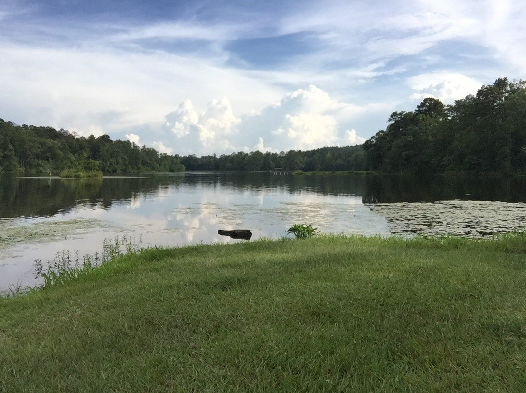 Payne Lake Recreation Area景点图片